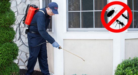 Çatalca Karınca İlaçlama böcek ilaçlama ve haşere kontrolü — ilaclama-tr.com